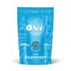 THE ONE: 16-Count 250mg Microdose Gummies with Mushroom Extract - Blue Raspberry