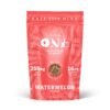 THE ONE: 16-Count 250mg Microdose Gummies with Mushroom Extract - Watermelon